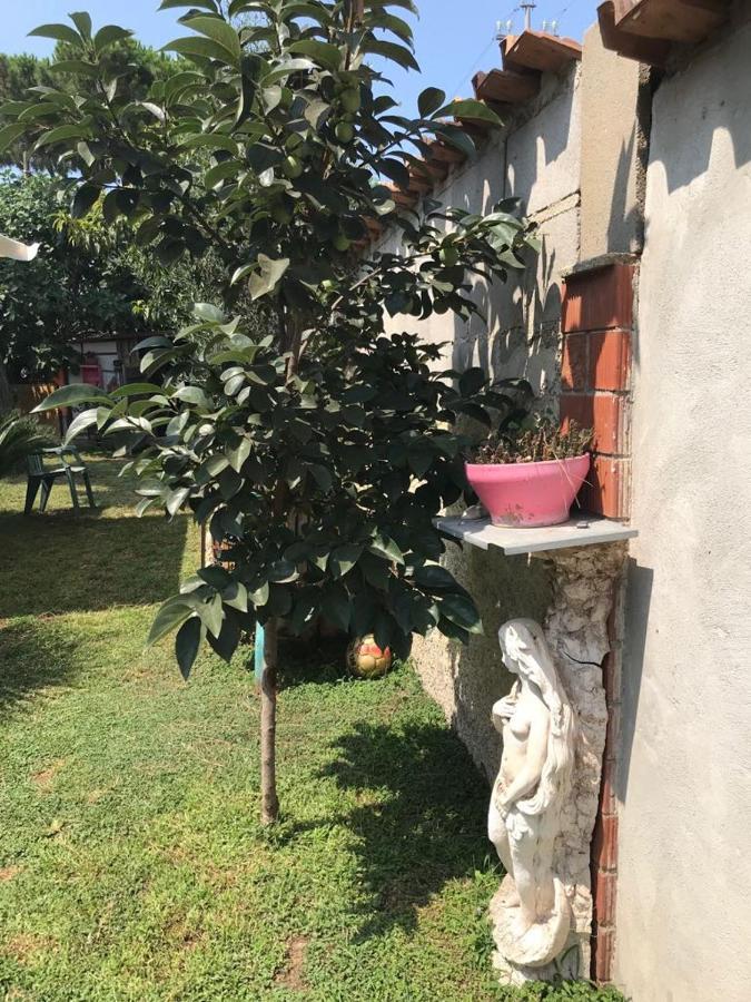 Mirella'S House Viaverona Ardea Dış mekan fotoğraf